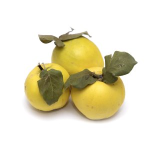 Սերկևիլ (մեծ)