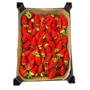 Ելակ տեղական խոշոր (կգ)