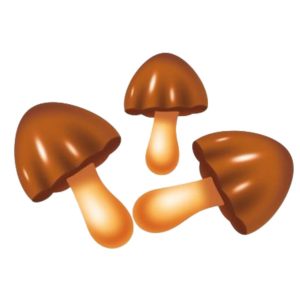 Թխվածքաբլիթ կաթնային ջնարակով սնկիկներ Daroink կգ