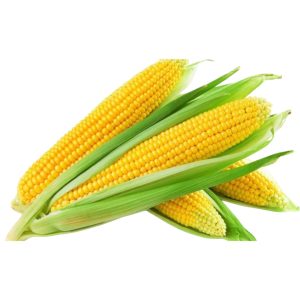 Եգիպտացորեն (հատ)