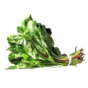 Ճավ (բազուկի տերև)