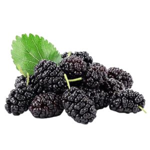 Թութ սև (կգ)