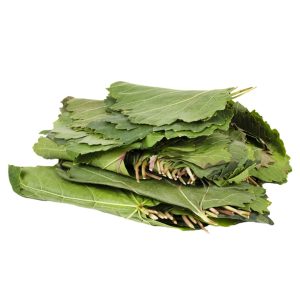Թուփ Խաղողի կգ