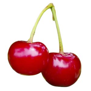 Բալ Շպանկա (կգ)