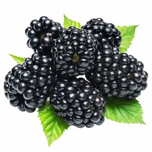Մոշ (կգ)