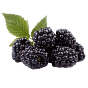 Մոշ խոշոր (կգ)