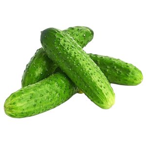 Վարունգ փշոտ ռուսական