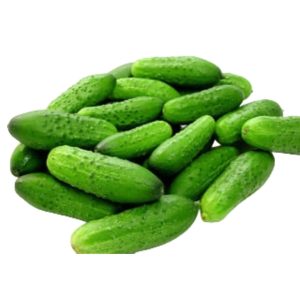 Վարունգ մանր կգ