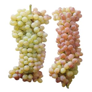 Խաղող Քիշմիշ (կգ)