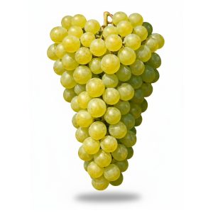 Խաղող Մուսկատ դեղին (կգ)