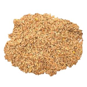 Հաճար Նուշ կգ