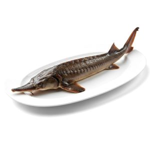 Ստեռլեց խորոված «Հայք Հացատուն» (կգ)